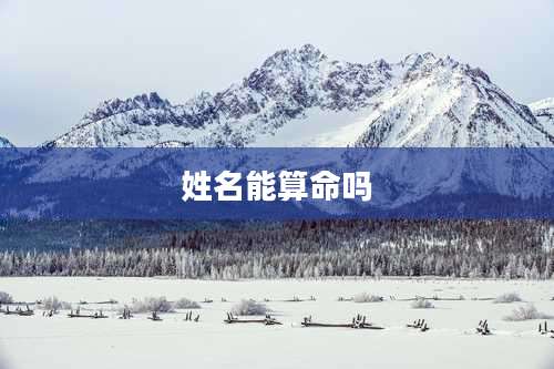 姓名能算命吗