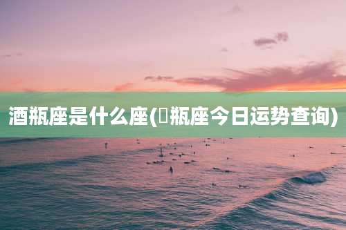 酒瓶座是什么座(氺瓶座今日运势查询)