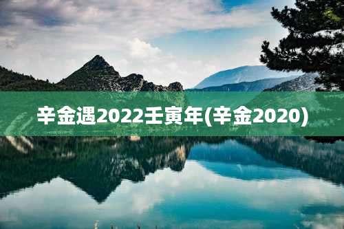 辛金遇2022壬寅年(辛金2020)