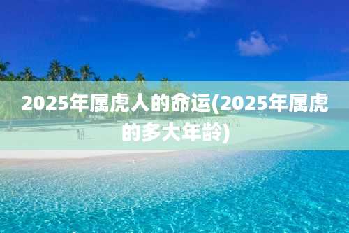2025年属虎人的命运(2025年属虎的多大年龄)