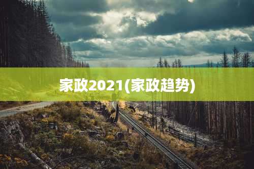 家政2021(家政趋势)