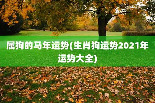 属狗的马年运势(生肖狗运势2021年运势大全)