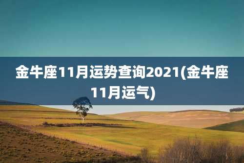 金牛座11月运势查询2021(金牛座11月运气)