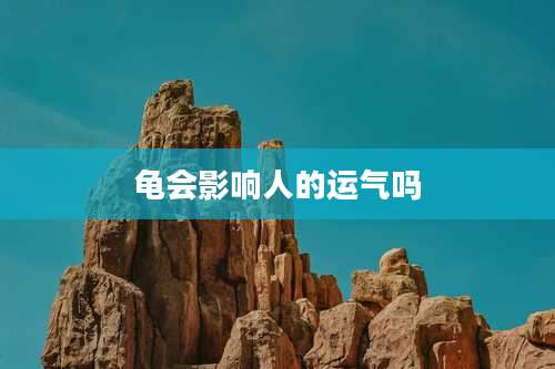 龟会影响人的运气吗