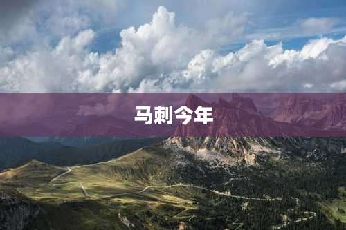 马刺今年