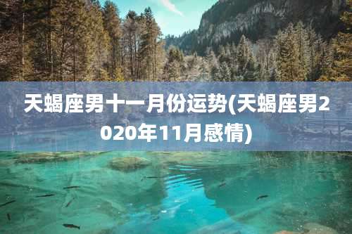 天蝎座男十一月份运势(天蝎座男2020年11月感情)