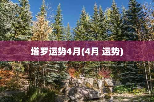 塔罗运势4月(4月 运势)