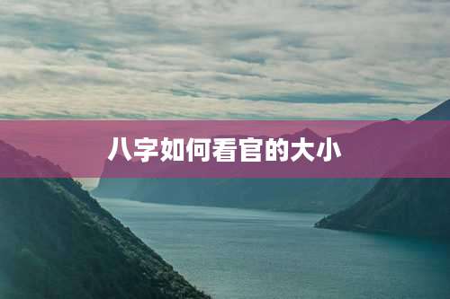 八字如何看官的大小