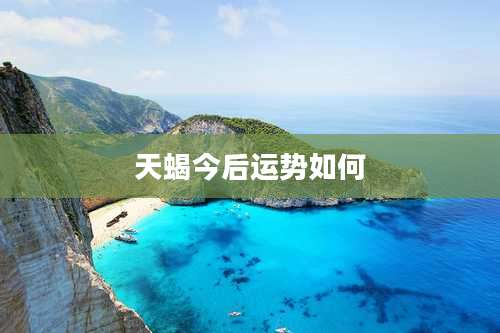 天蝎今后运势如何