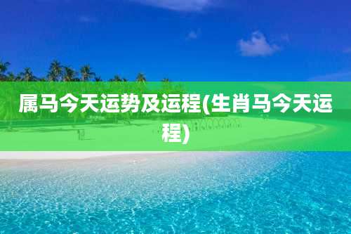 属马今天运势及运程(生肖马今天运程)