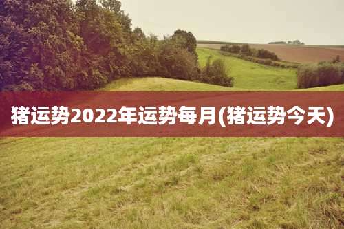 猪运势2022年运势每月(猪运势今天)