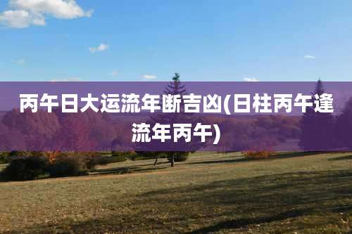 丙午日大运流年断吉凶(日柱丙午逢流年丙午)