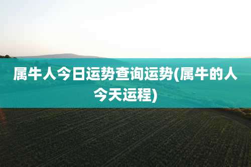 属牛人今日运势查询运势(属牛的人今天运程)