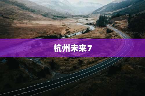 杭州未来7