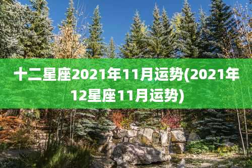 十二星座2021年11月运势(2021年12星座11月运势)