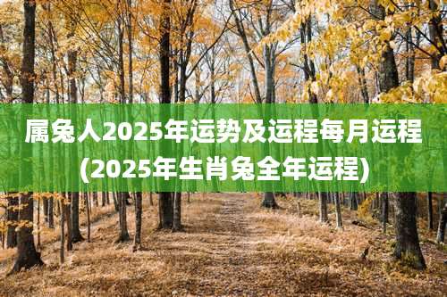 属兔人2025年运势及运程每月运程(2025年生肖兔全年运程)