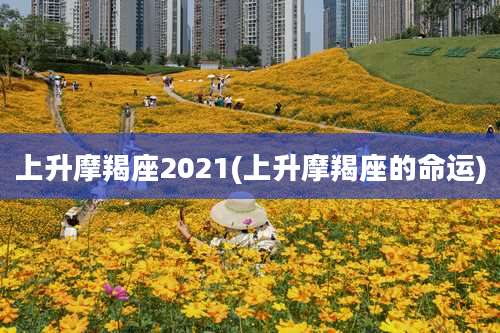 上升摩羯座2021(上升摩羯座的命运)