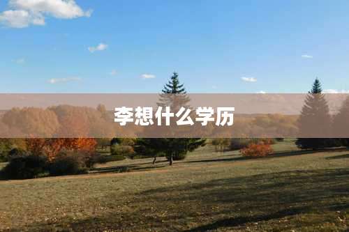 李想什么学历