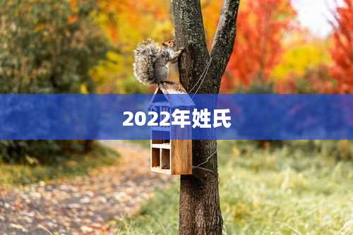 2022年姓氏