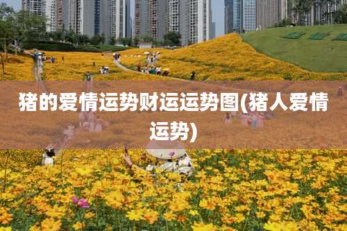 猪的爱情运势财运运势图(猪人爱情运势)