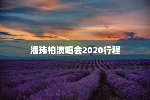 潘玮柏演唱会2020行程