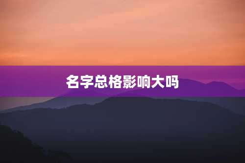 名字总格影响大吗