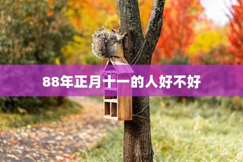 88年正月十一的人好不好