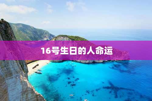 16号生日的人命运