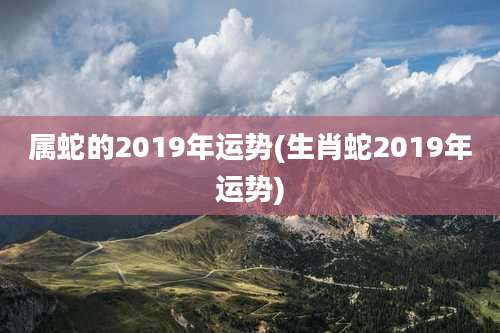 属蛇的2019年运势(生肖蛇2019年运势)