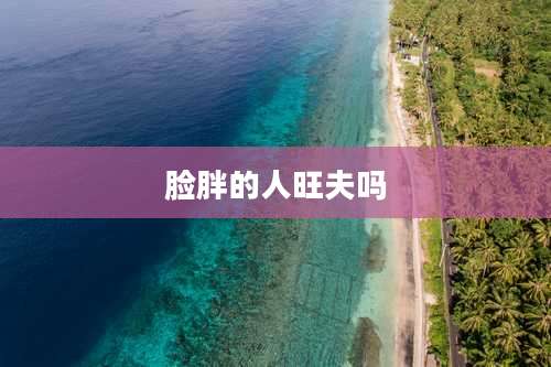 脸胖的人旺夫吗