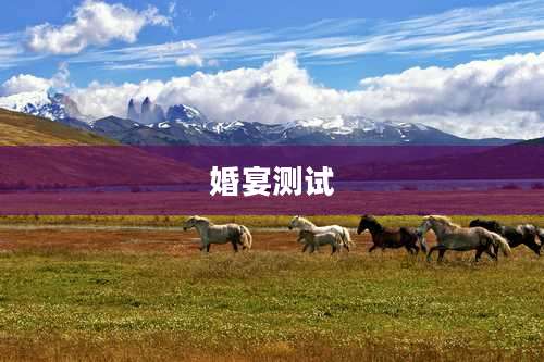 婚宴测试