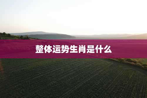 整体运势生肖是什么