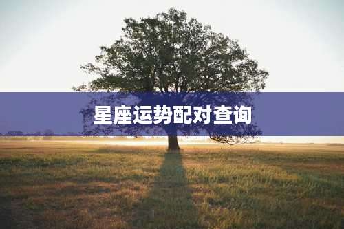 星座运势配对查询