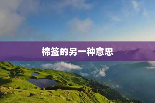 棉签的另一种意思