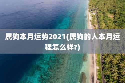 属狗本月运势2021(属狗的人本月运程怎么样?)