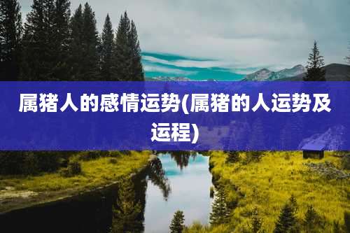 属猪人的感情运势(属猪的人运势及运程)