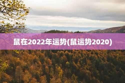 鼠在2022年运势(鼠运势2020)