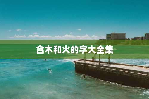 含木和火的字大全集