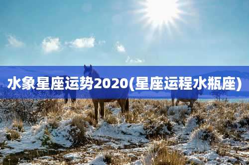 水象星座运势2020(星座运程水瓶座)