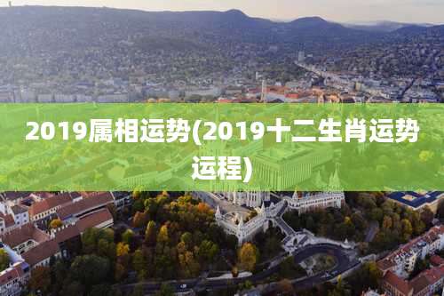 2019属相运势(2019十二生肖运势运程)