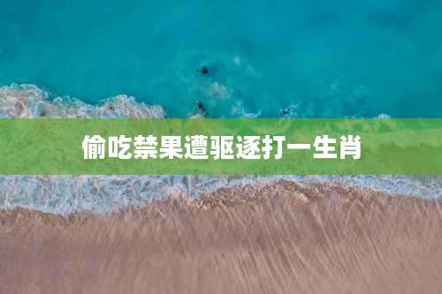 偷吃禁果遭驱逐打一生肖