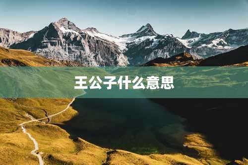 王公子什么意思