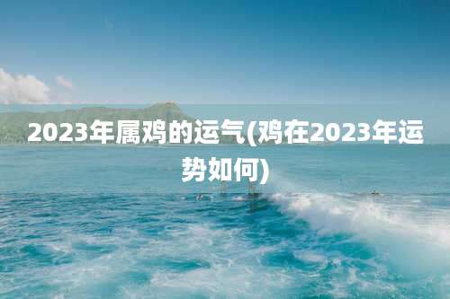 2023年属鸡的运气(鸡在2023年运势如何)