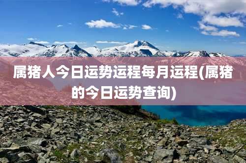 属猪人今日运势运程每月运程(属猪的今日运势查询)