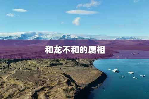 和龙不和的属相