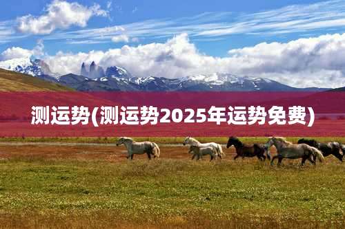 测运势(测运势2025年运势免费)