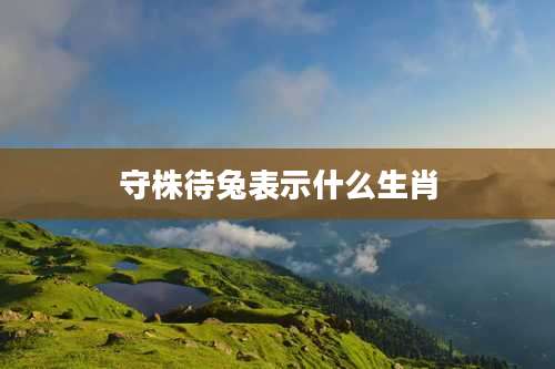 守株待兔表示什么生肖