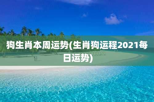 狗生肖本周运势(生肖狗运程2021每日运势)