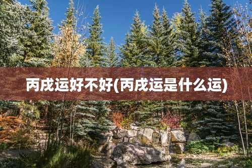 丙戌运好不好(丙戌运是什么运)