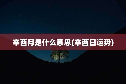 辛酉月是什么意思(辛酉日运势)